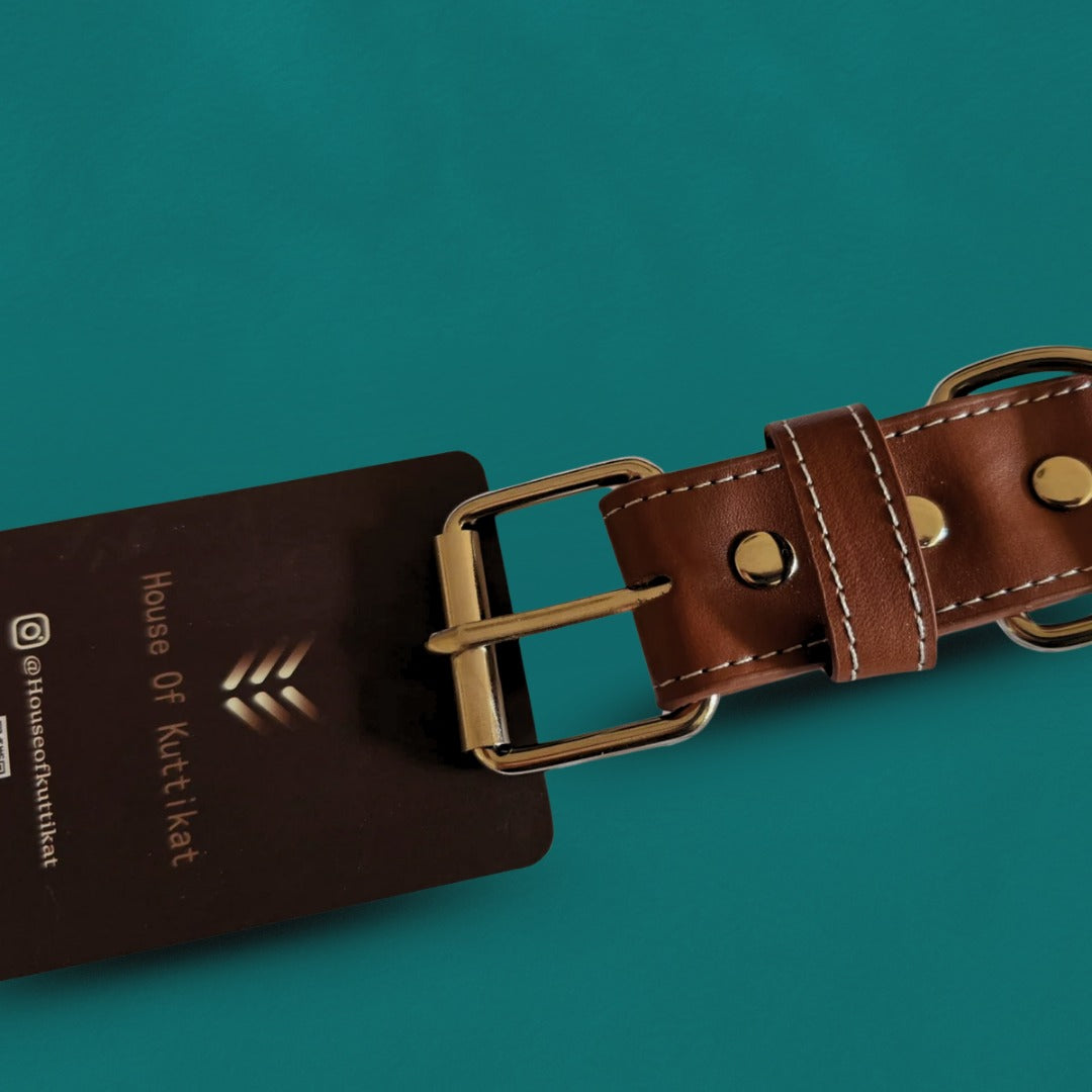 Tux Style Dog Collar