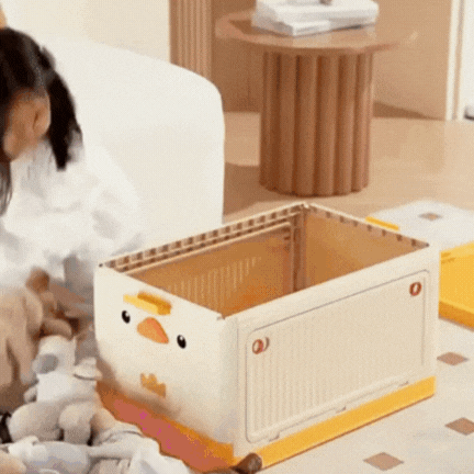 Kids Storage Box