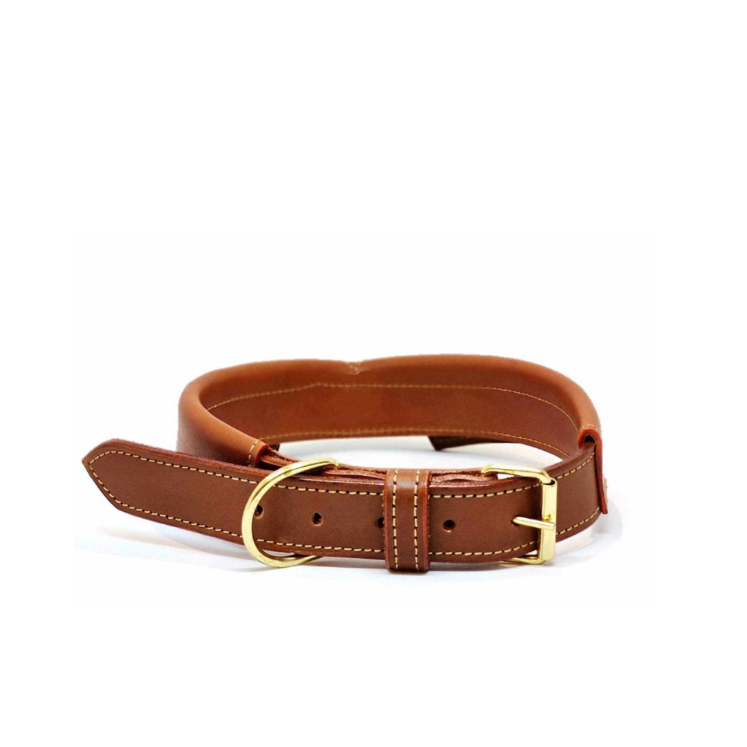 Tux Style Dog Collar