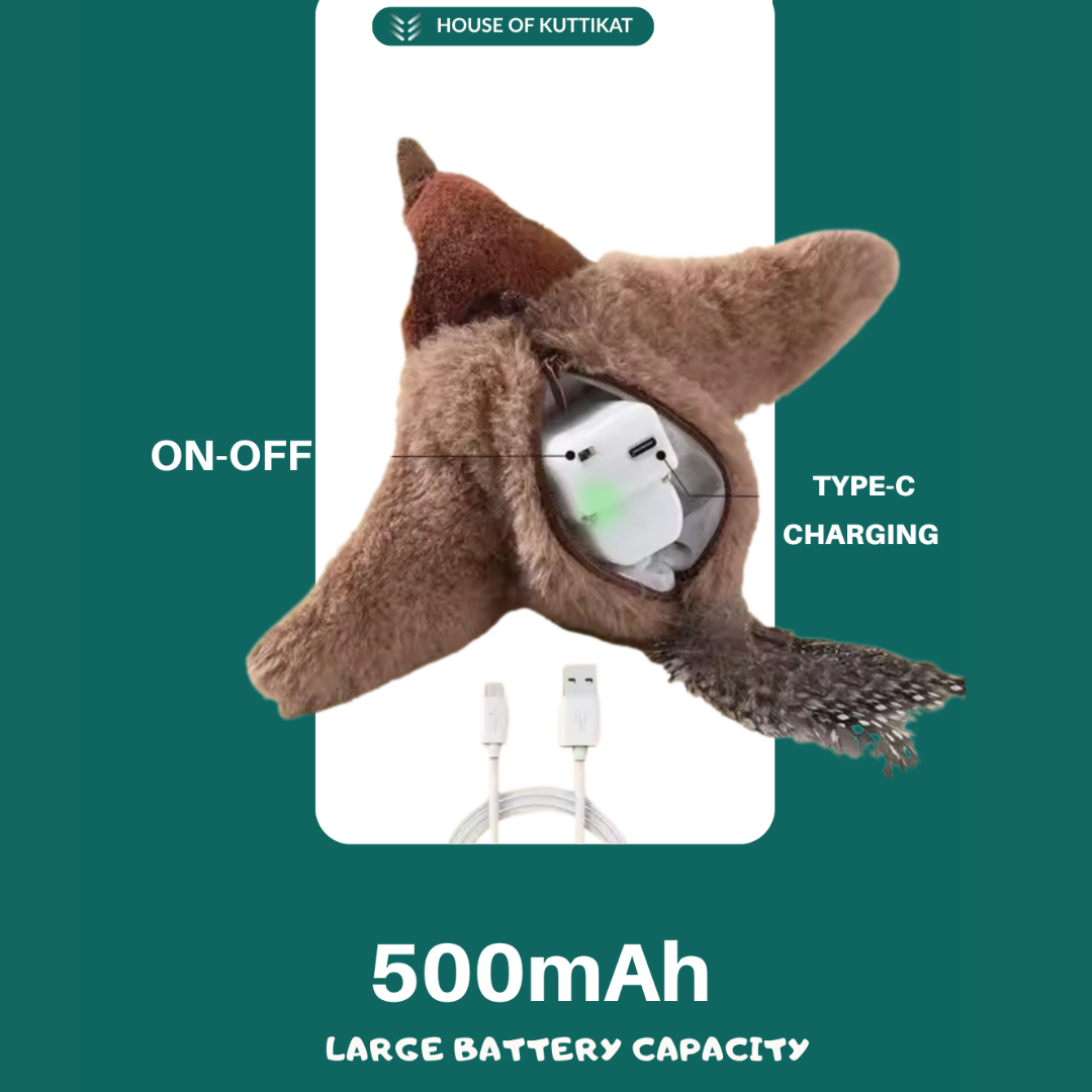 Cat Bird Toy
