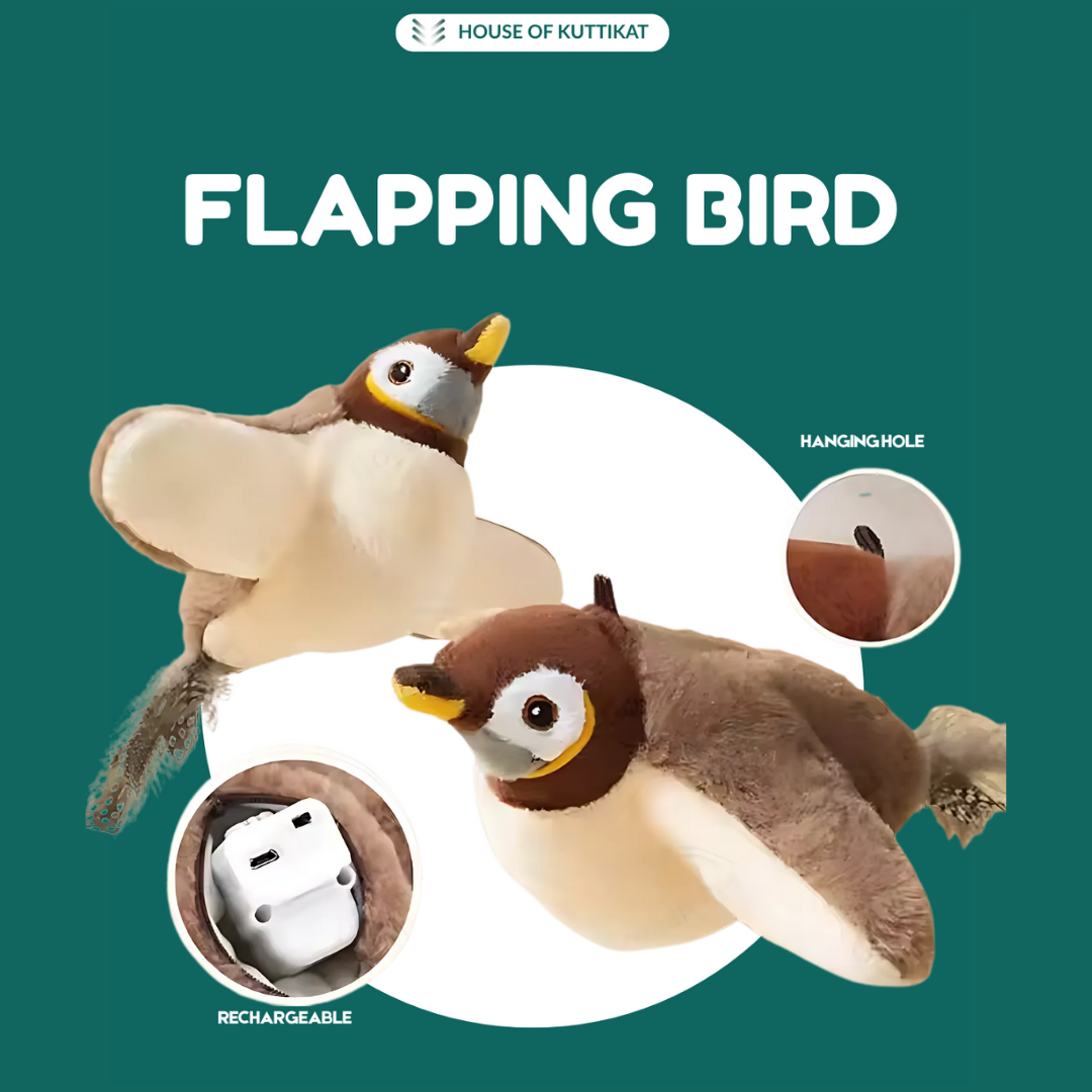 Cat Bird Toy