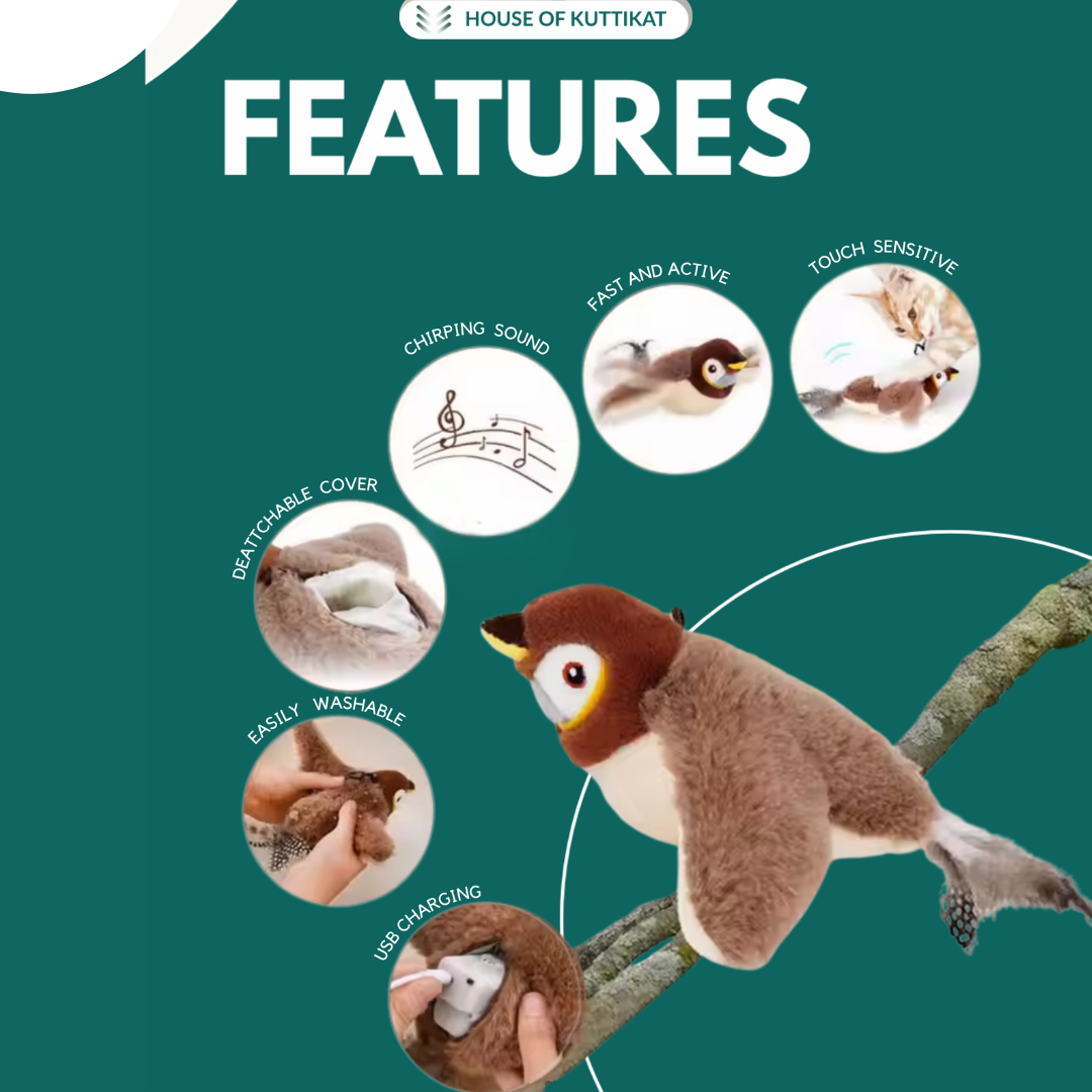 Cat Bird Toy