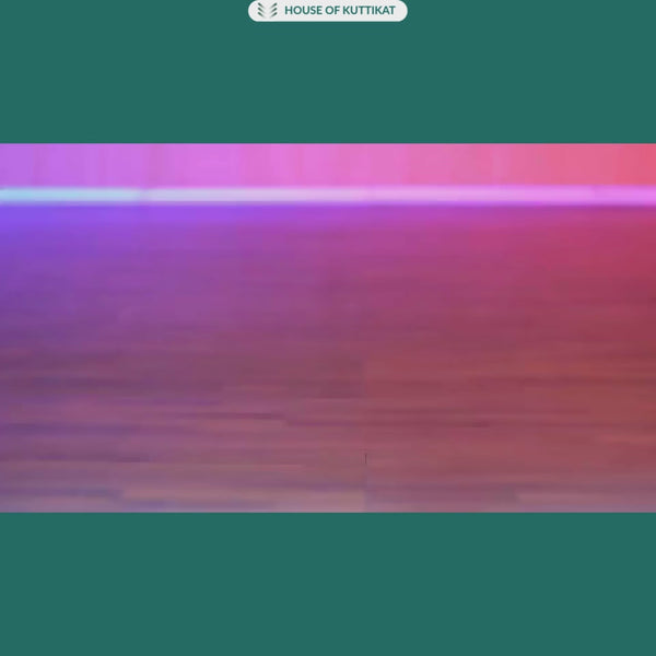 RC Bumper Cars — 2-Player Battle & Crash Game Toy | 2 Sets of Cars