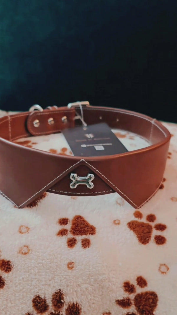 Tux Style Dog Collar